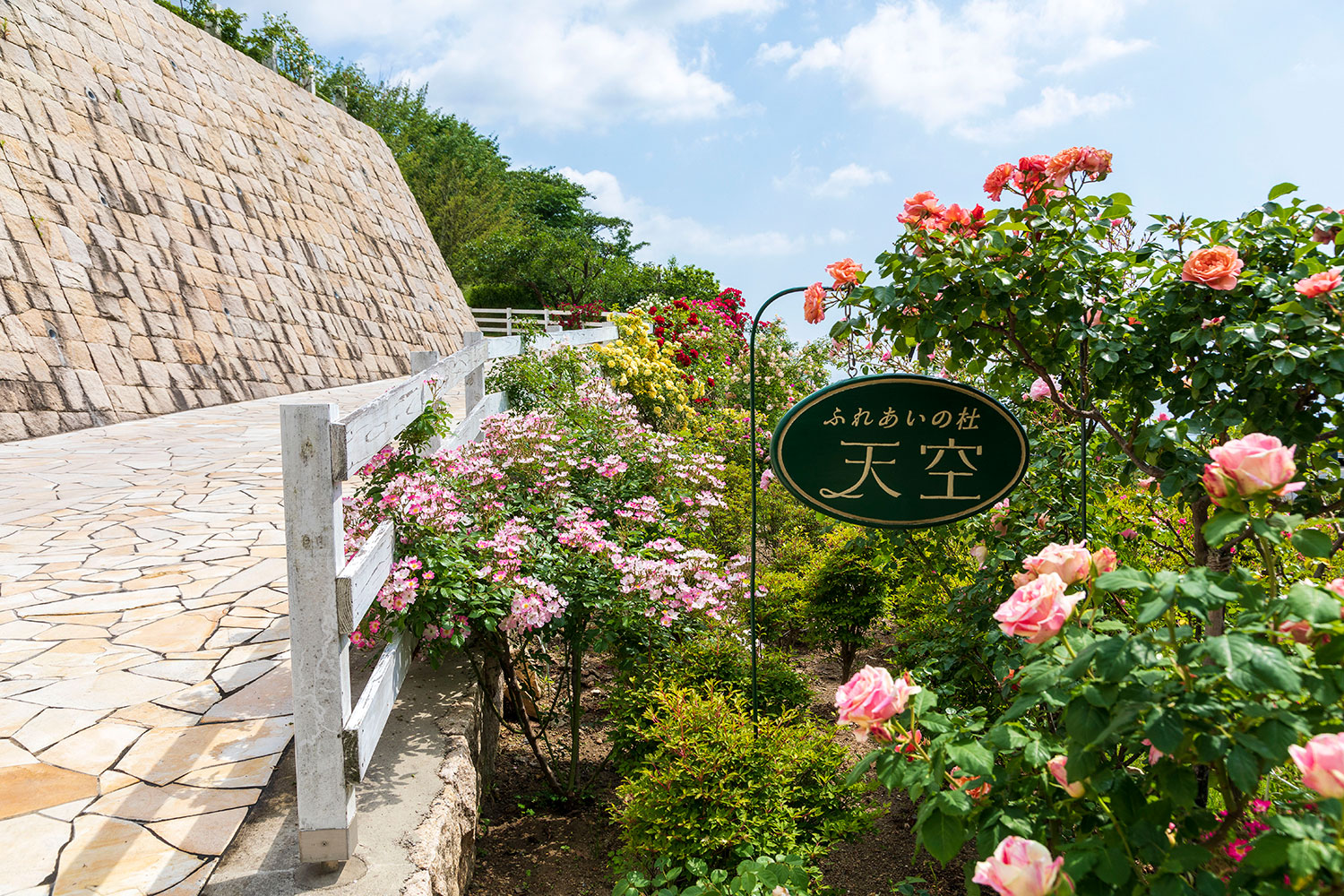 樹木葬専用エリア 天空