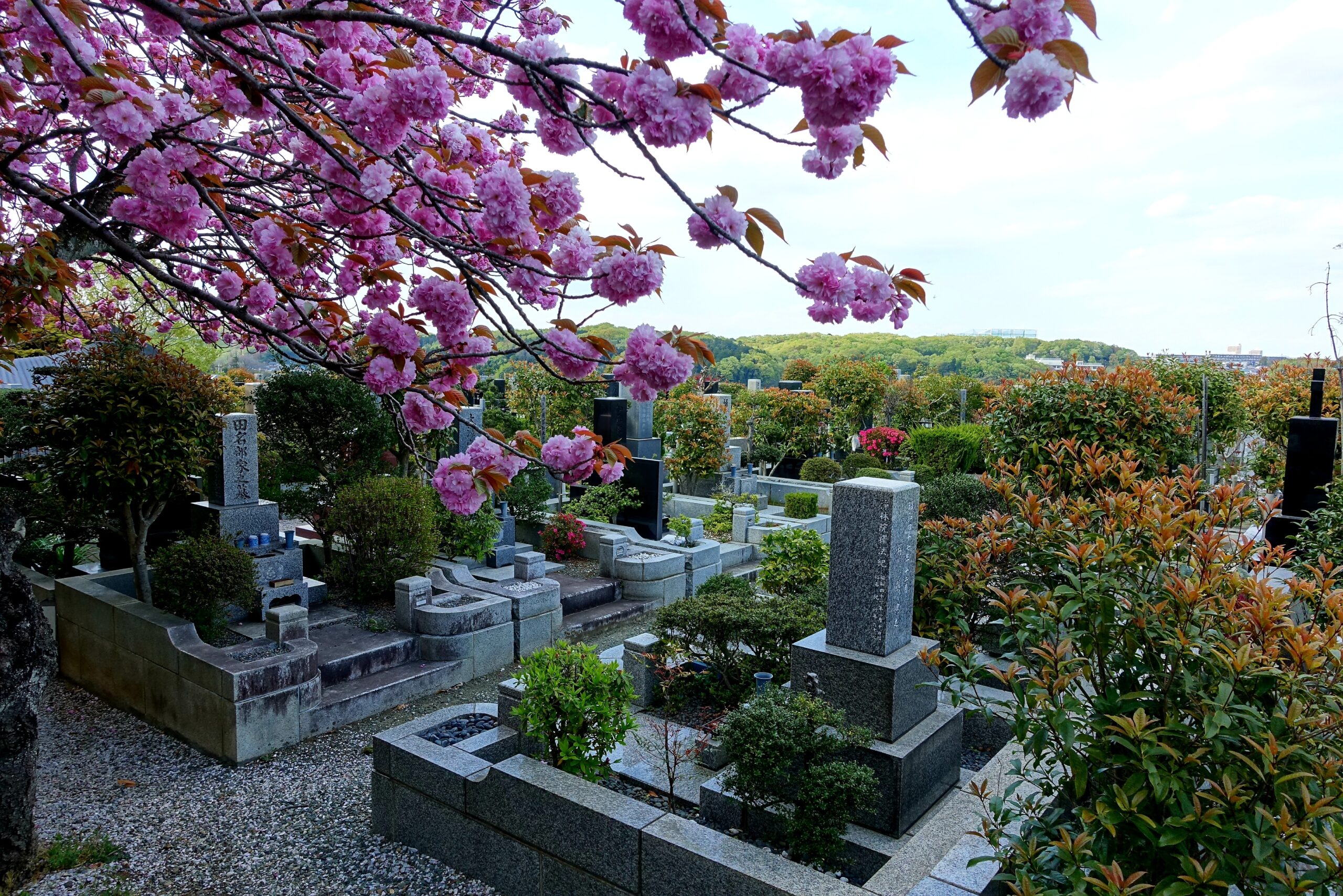 永代供養墓の種類